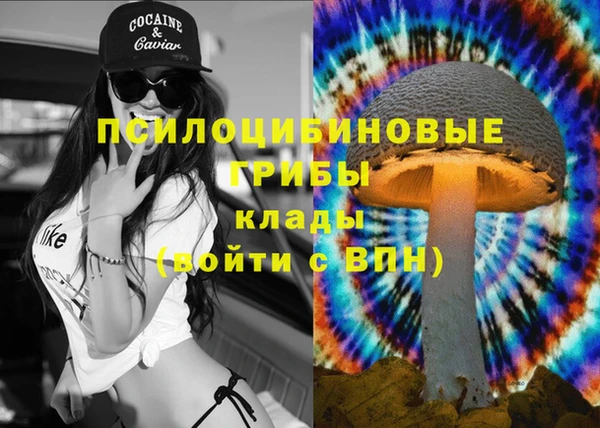 прущая мука Арсеньев