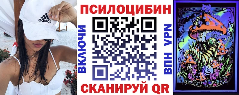 купить наркотик  Асино  Галлюциногенные грибы Psilocybe 